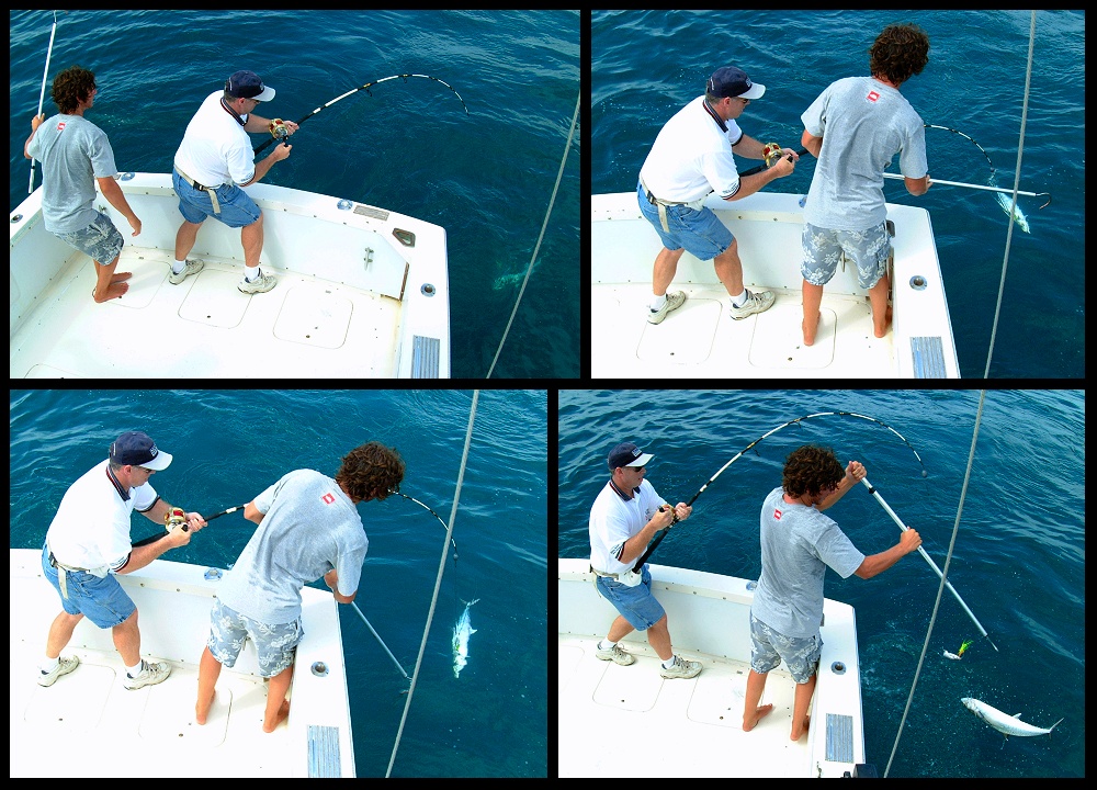 (44) montage (rig fishing).jpg   (1000x720)   339 Kb                                    Click to display next picture